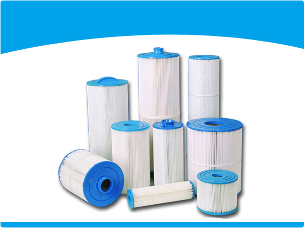 Pool and Spa Filter1